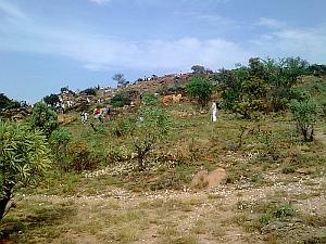 Heritage Day Walk