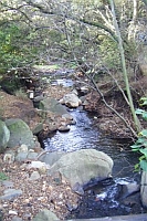 Gabbro in Spruit