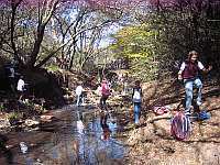 In the Spruit
