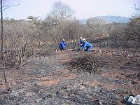 Kraal
                        Fire