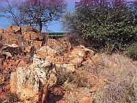 New Path