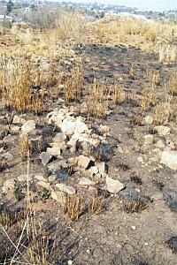 Stone Walling