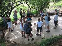 7 March Walkers
